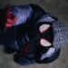 Campaña iniciada por entusiastas de Spider-Man para preservar la integridad del Spider-Verse.