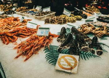 Explora la Isla Sur de Nueva Zelanda a través de Pequeños Puestos de Mariscos.