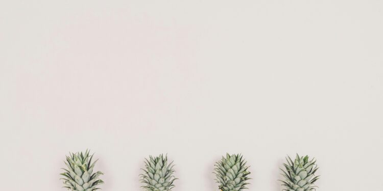 Chipotle invertirá $100 millones en avanzar en el futuro de la alimentación — Dando la bienvenida a tus ideas innovadoras.