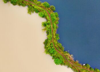 Explorando los contrastes: India vs Indonesia.