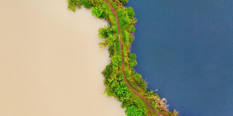 Explorando los contrastes: India vs Indonesia.