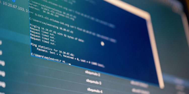 El Papel de la Infraestructura de Clave Pública (ICP)