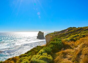 El Renacimiento Culinario de Australia del Sur