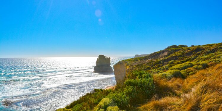 El Renacimiento Culinario de Australia del Sur
