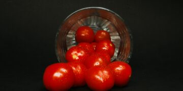 Explorando la Versatilidad de los Tomates en Conserva