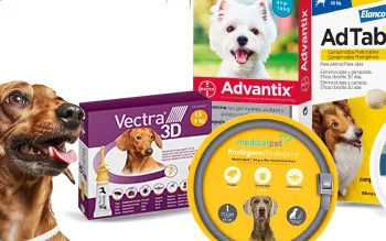 La Cadena Líder de Tiendas para Mascotas en España que Establece Estándares en el Cuidado Animal