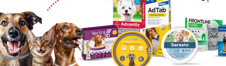 La Cadena Líder de Tiendas para Mascotas en España que Establece Estándares en el Cuidado Animal